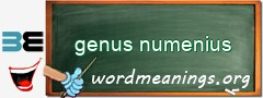 WordMeaning blackboard for genus numenius